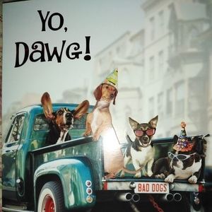 Meet your Posher, Ray